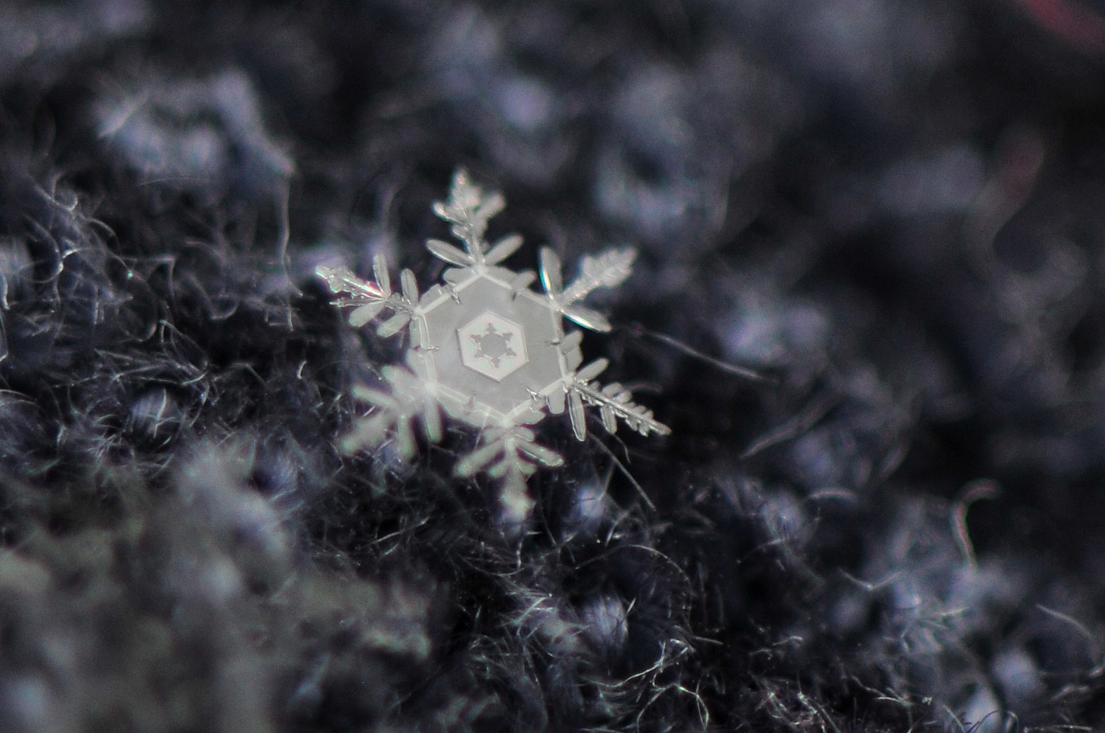Nikon AF-S Micro-Nikkor 105mm F2.8G IF-ED VR sample photo. Snowflake within a snowflake photography