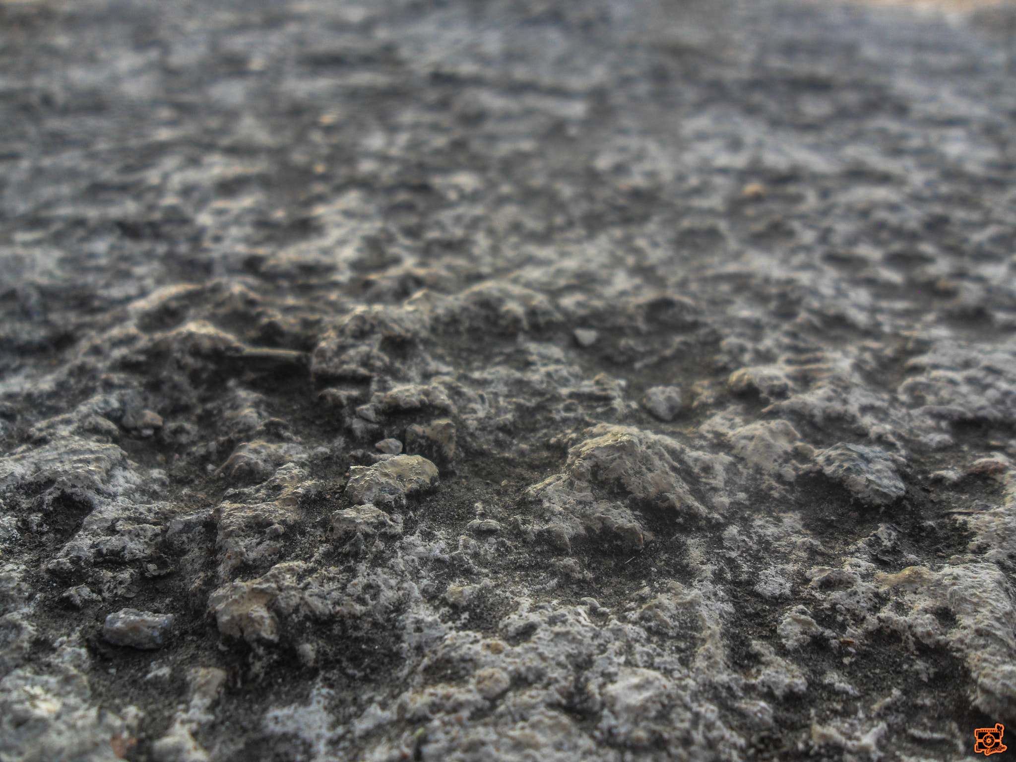 Samsung ES74,ES75,ES78 / VLUU ES75,ES78 sample photo. Fotografia naturalconexionphotos photography