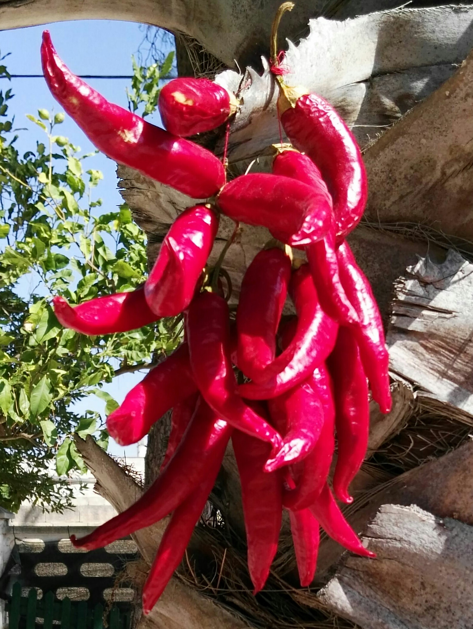 HUAWEI GX8 sample photo