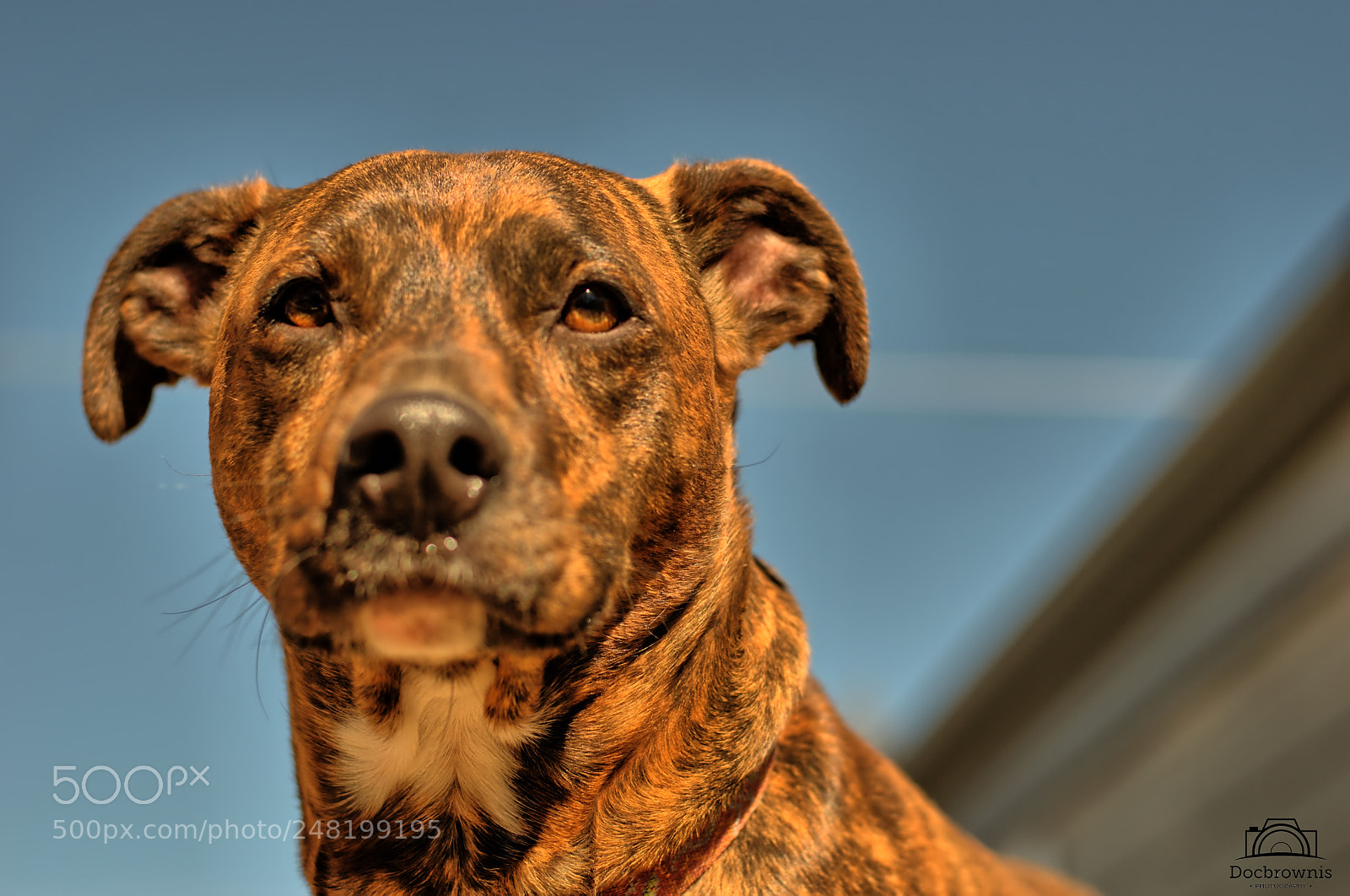 Nikon D5300 sample photo. Apollo photography