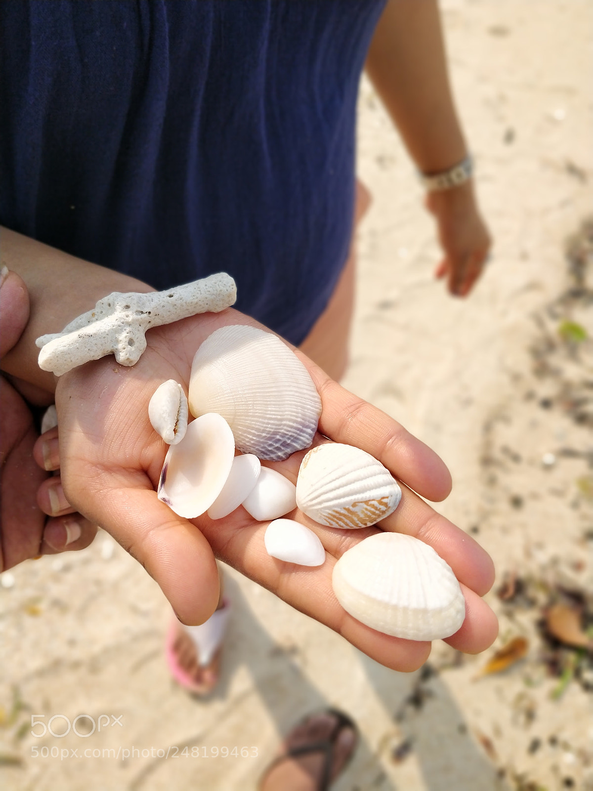 OnePlus 5T sample photo. Sea shells photography