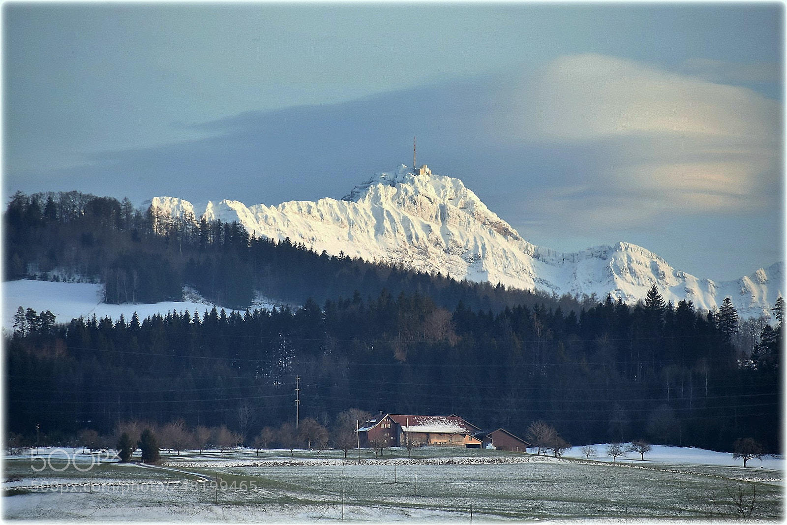 Nikon D810 sample photo. "snowy background" photography