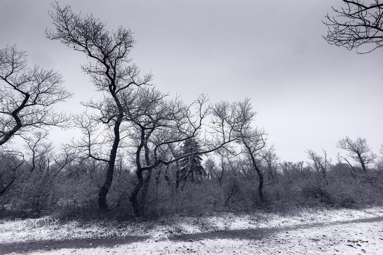 Pentax K-1 sample photo. Untitled photography