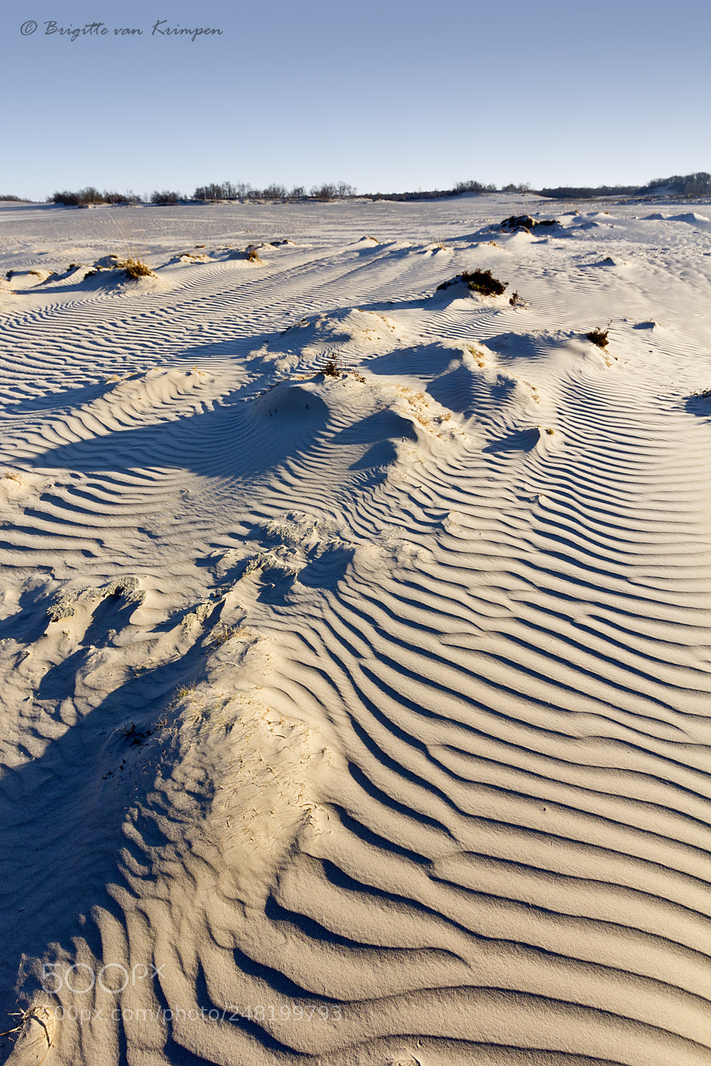 Canon EOS 60D sample photo. Dutch sahara photography