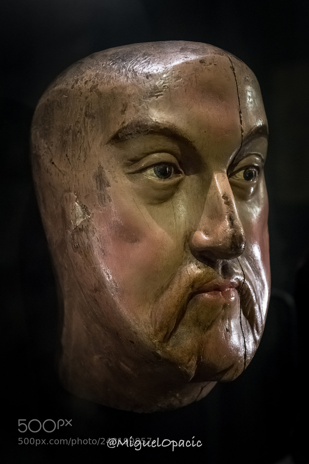 Nikon D5 sample photo. Henry viii photography