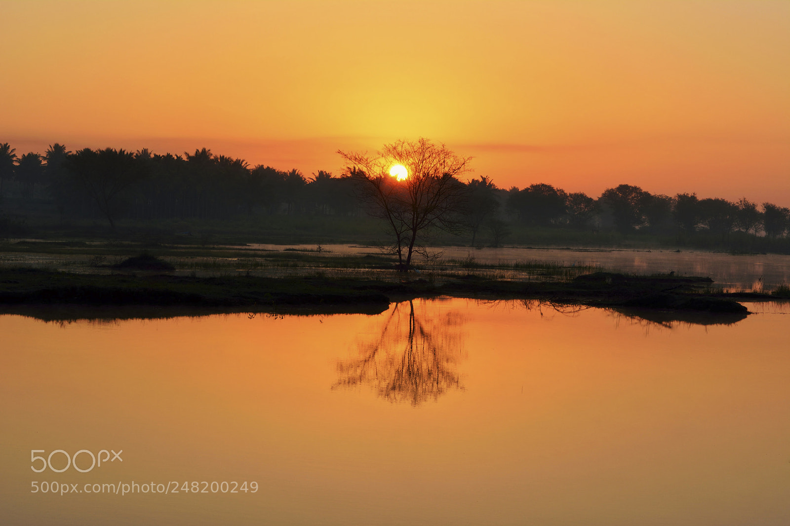 Nikon D5200 sample photo. Beautiful sunrise photography