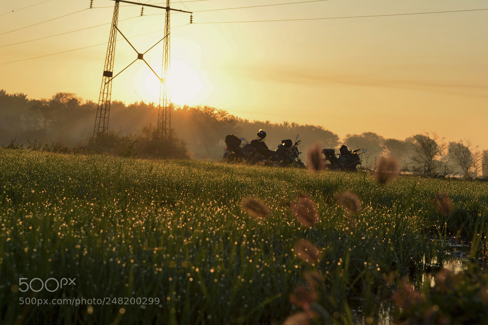 Nikon D5200 sample photo. Beautiful morning photography