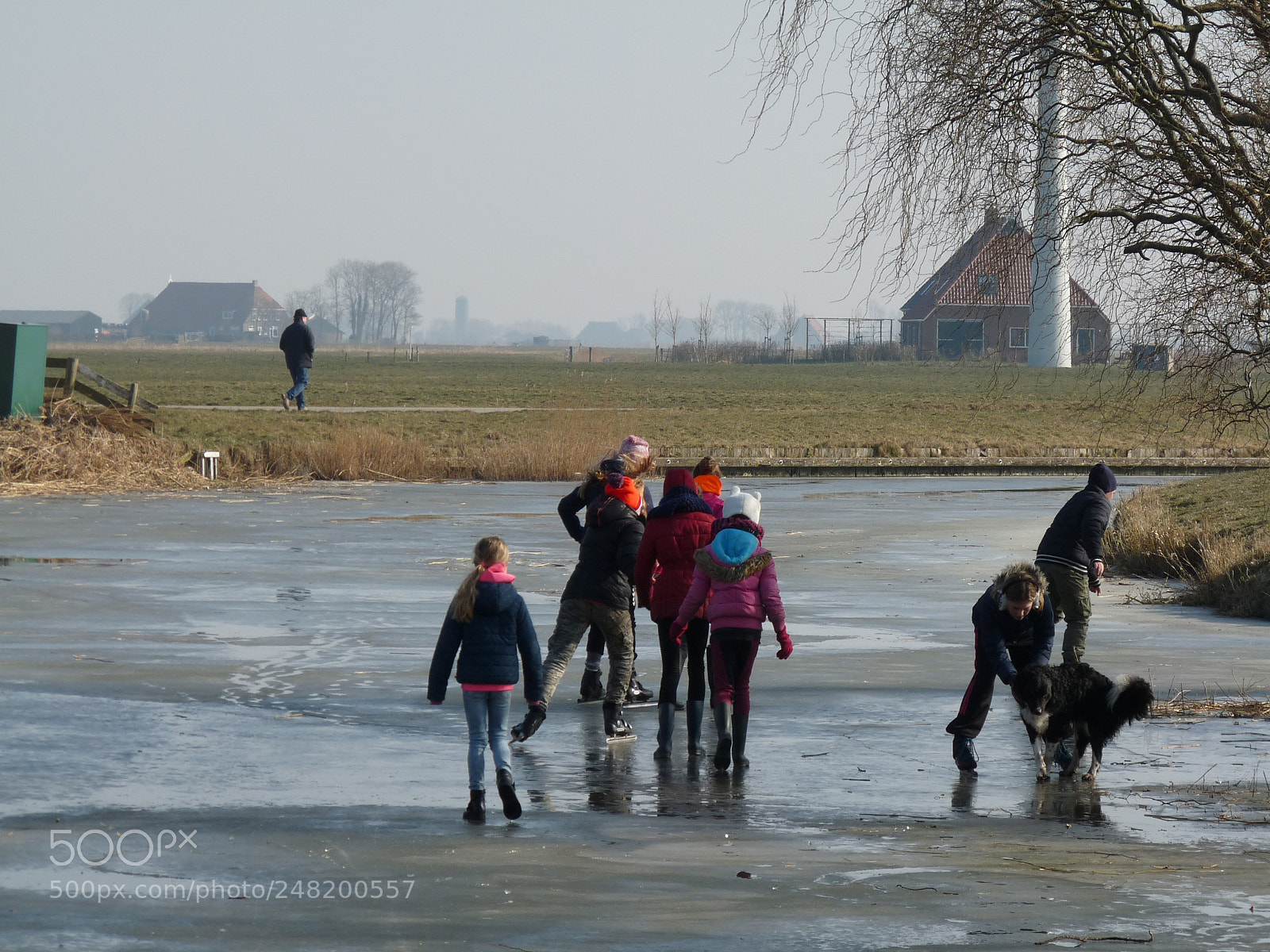 Panasonic Lumix DMC-FZ28 sample photo. Ice pleasure! photography