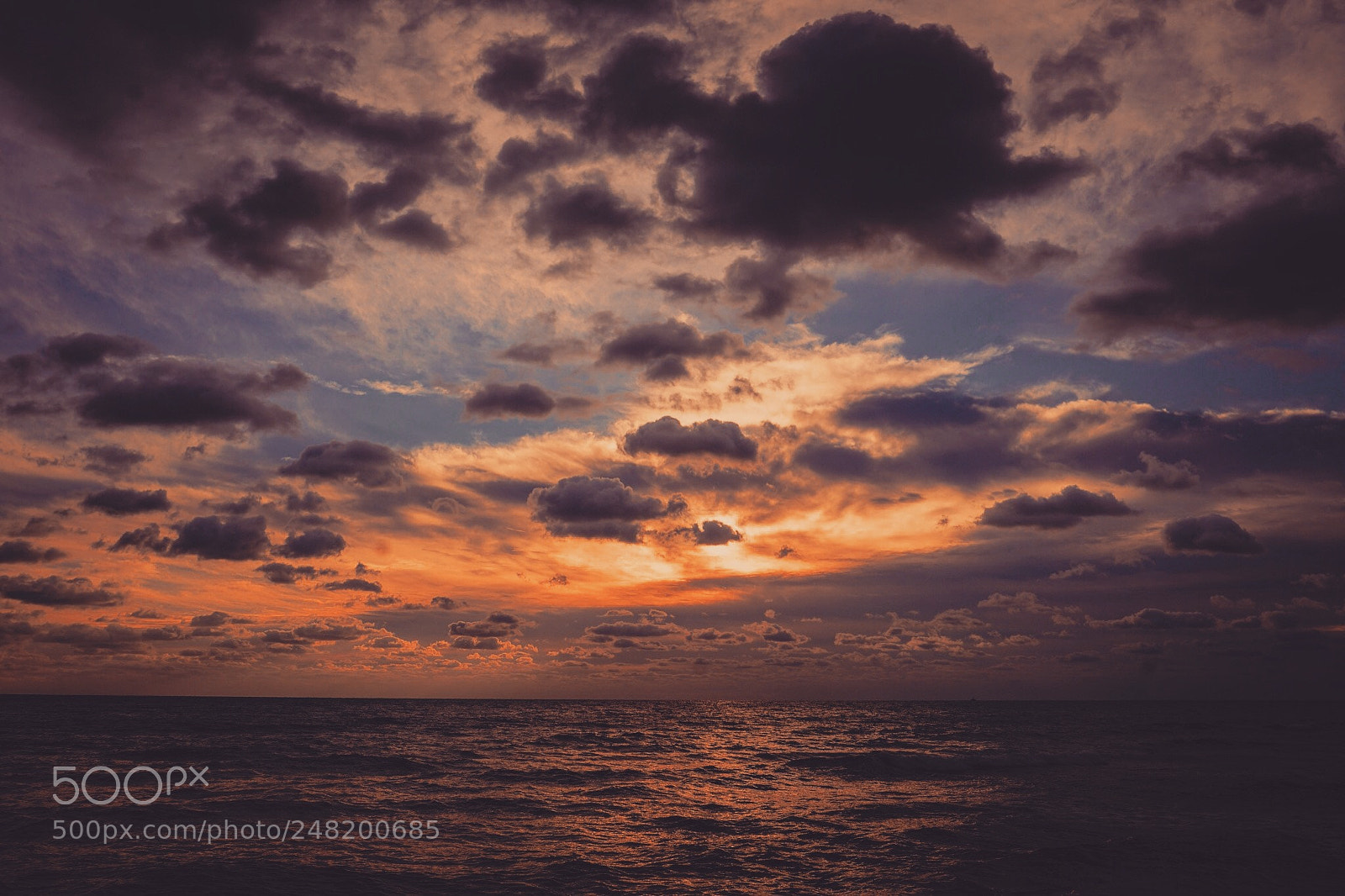 Sony a5100 sample photo. Mornings in florida photography