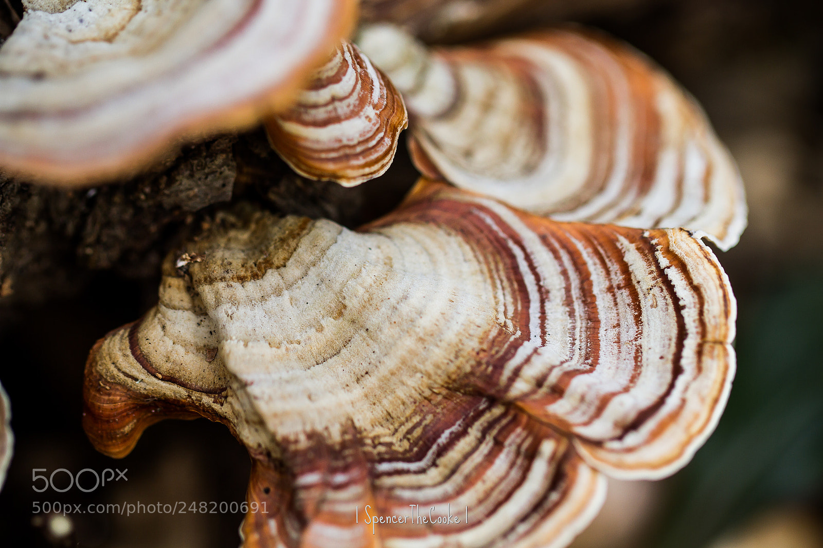 Canon EOS 7D sample photo. Layers photography