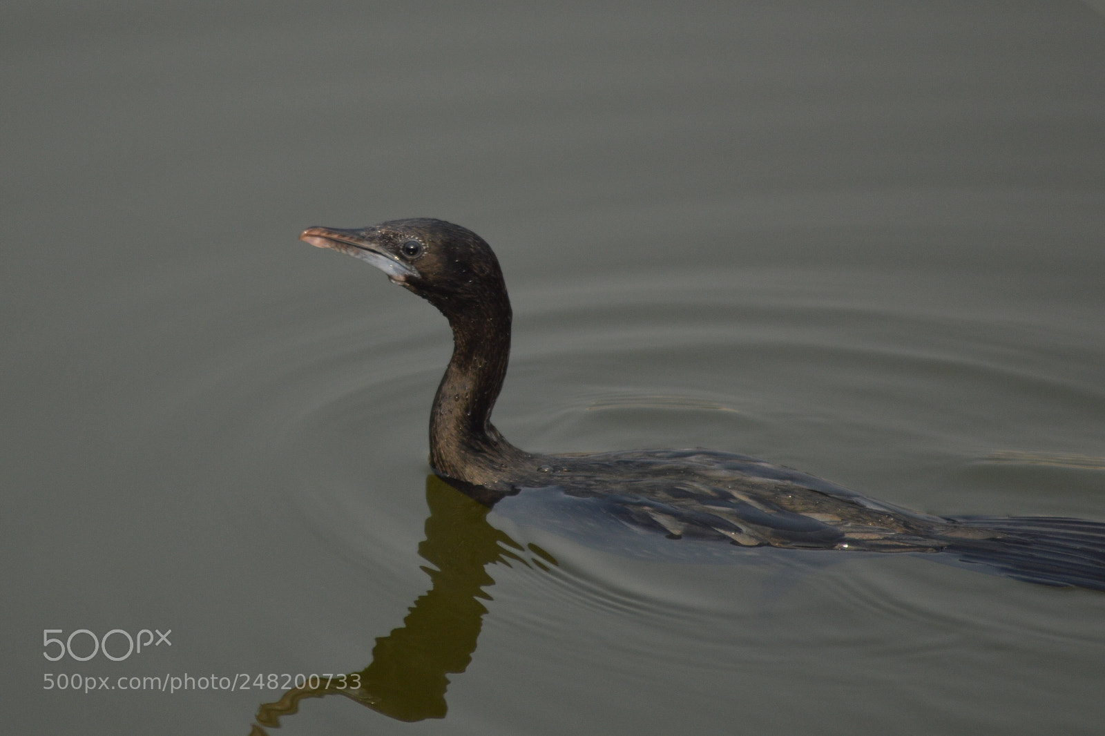 Nikon D3200 sample photo. Untitled photography