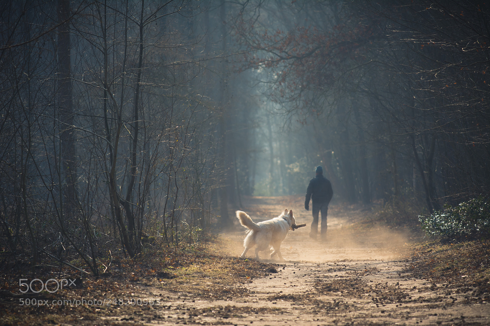Nikon D5200 sample photo. Play time photography