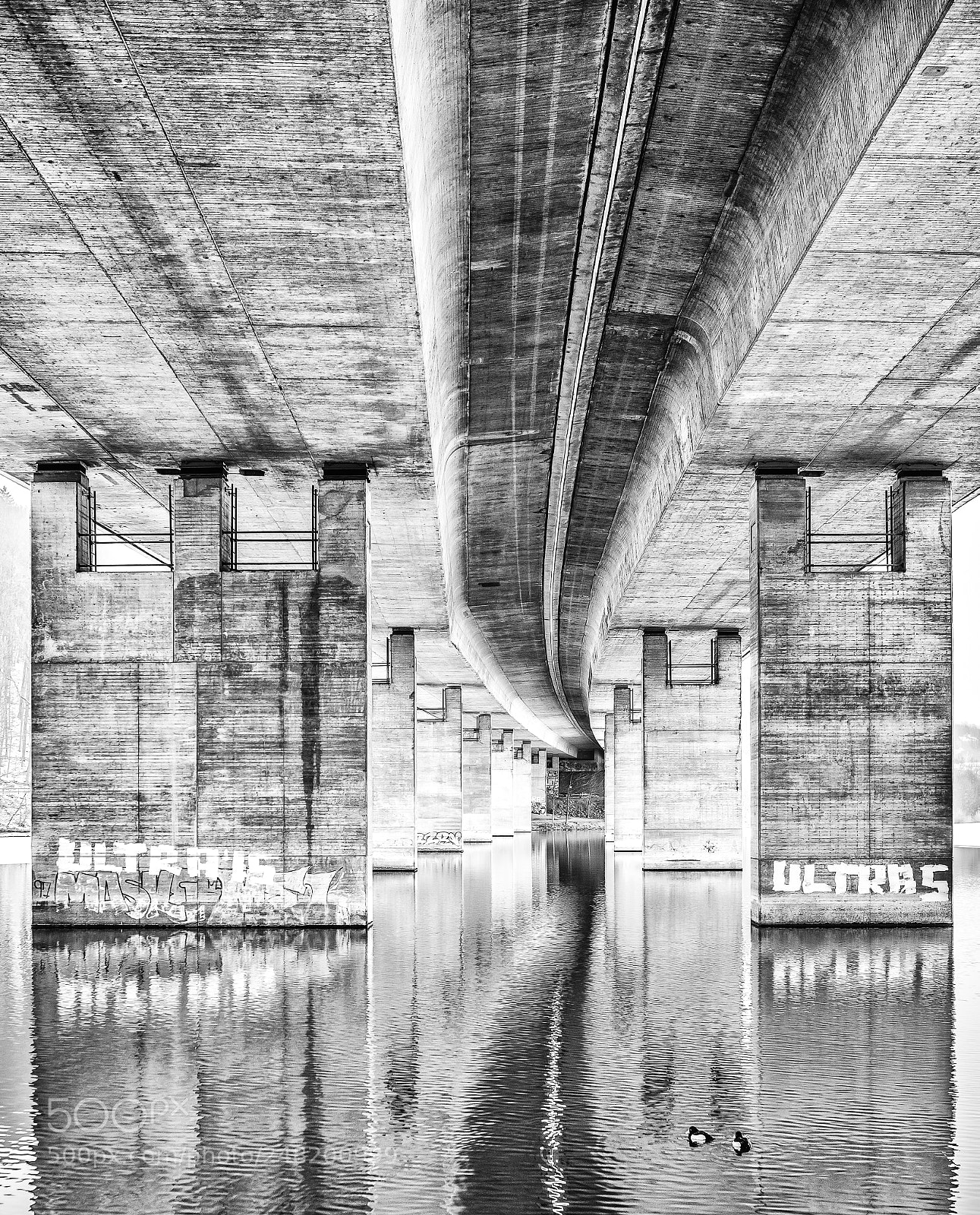 Nikon D810 sample photo. Under the highway photography