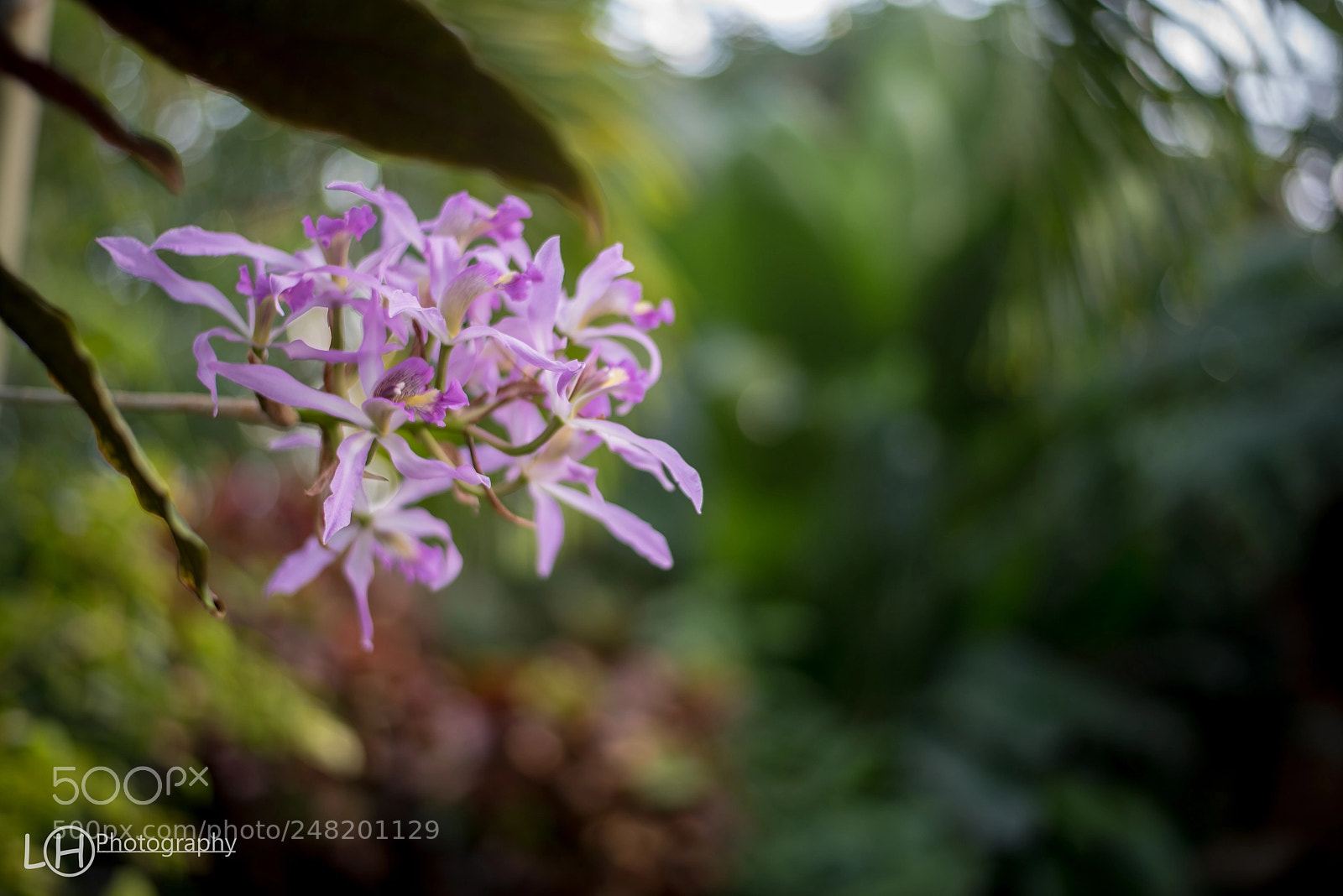 Nikon D810 sample photo. Untitled photography