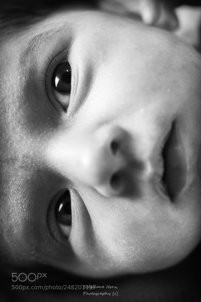 Nikon D800 sample photo. Juliette 1 photography