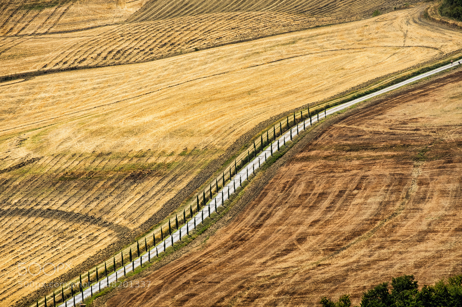 Fujifilm X-T20 sample photo. Tuscany the road to photography