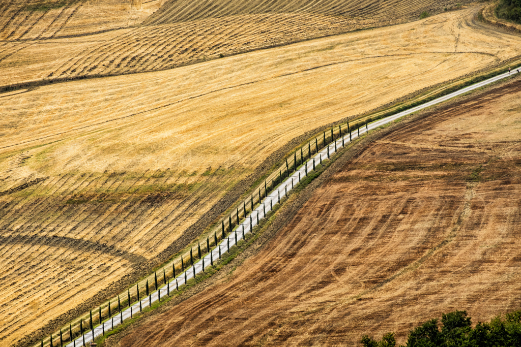 Tuscany: the road to Torre a Castello by Claudio G. Colombo on 500px.com