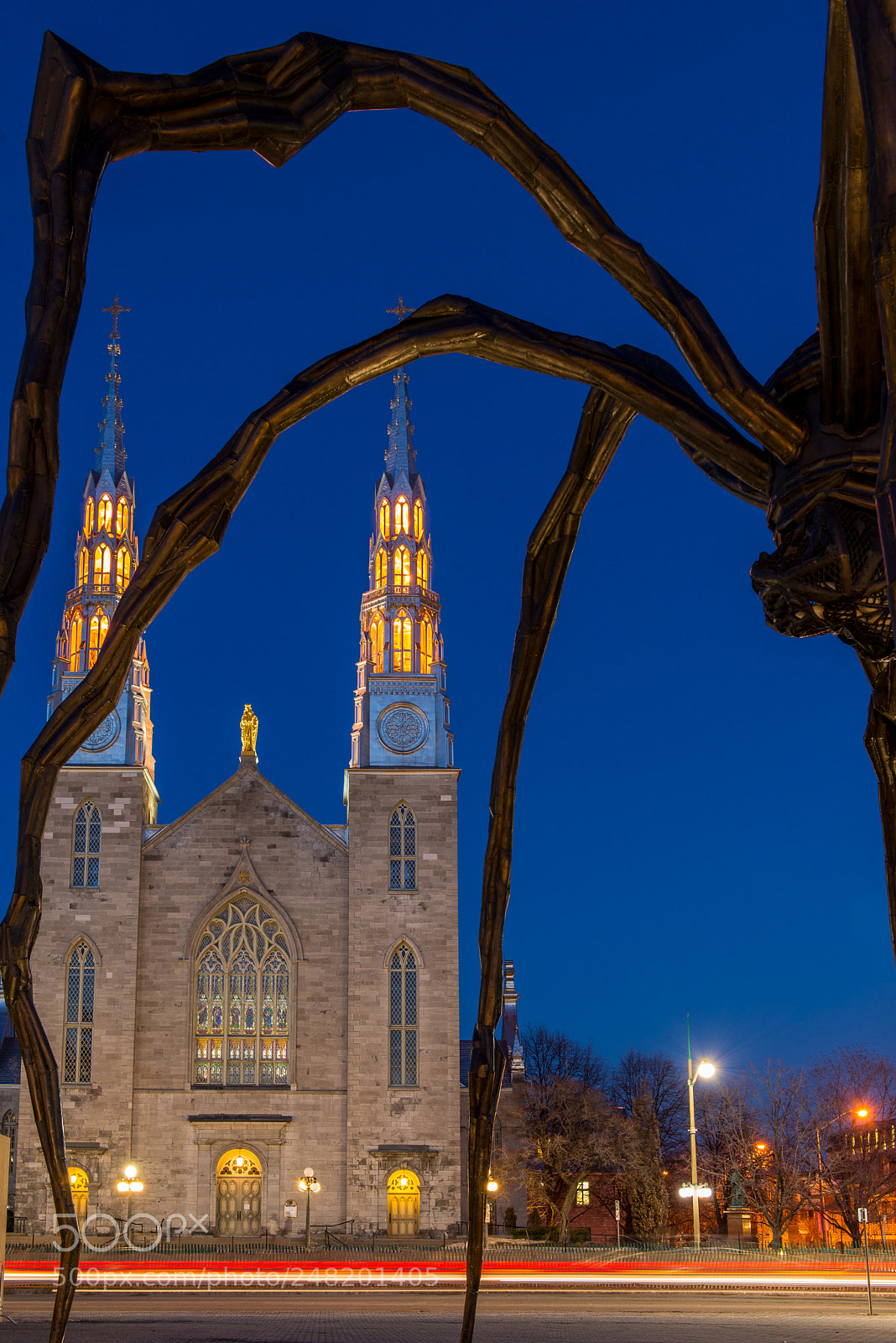 Nikon D610 sample photo. Louise bourgeois spider #6 photography