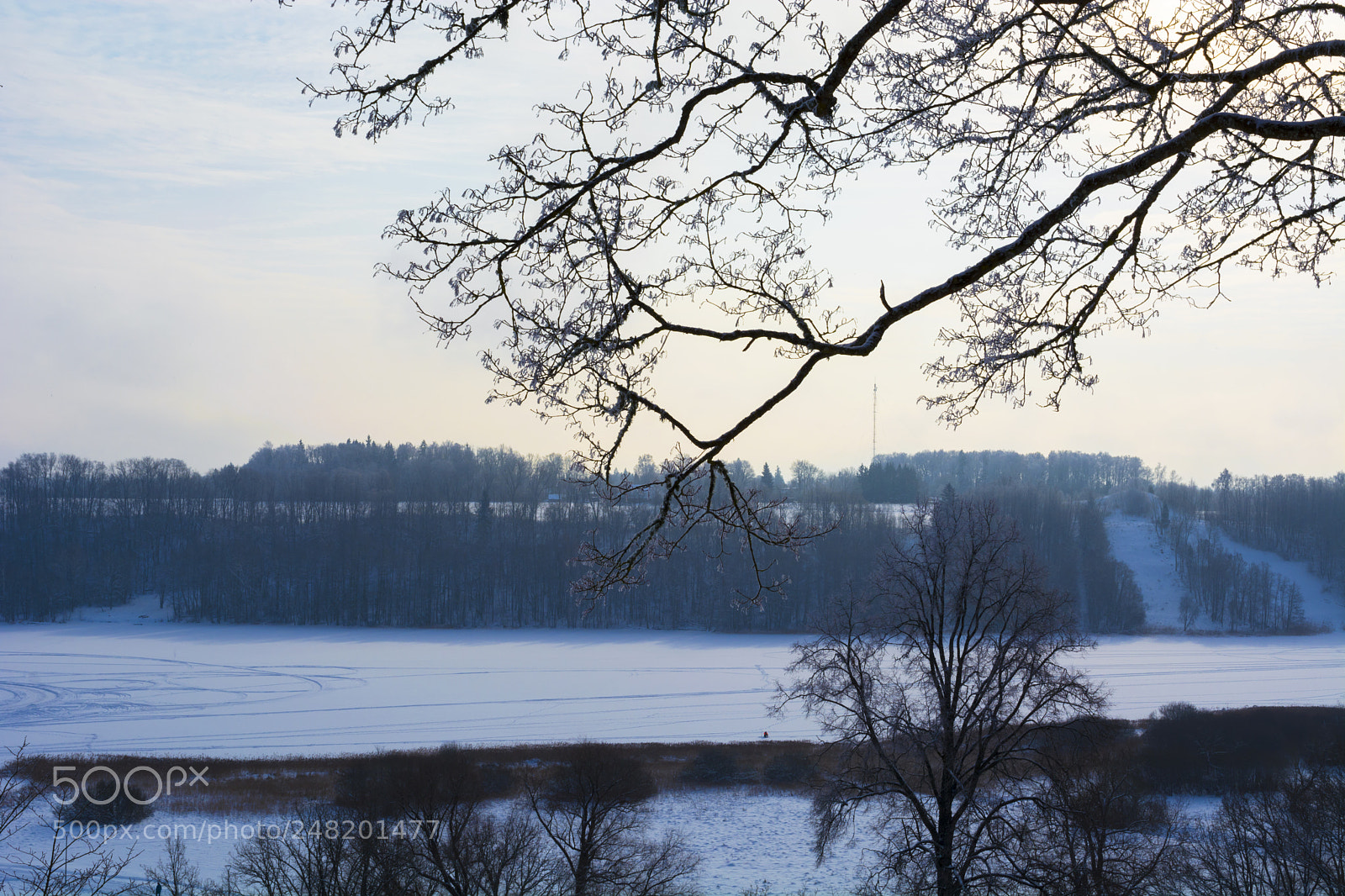 Nikon D5200 sample photo. Viljandi photography