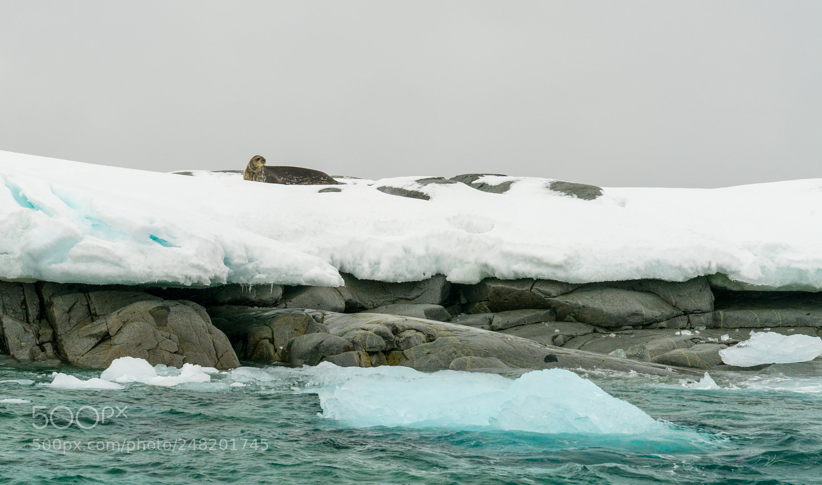 Sony a7R II sample photo. Antarctica expedition photography
