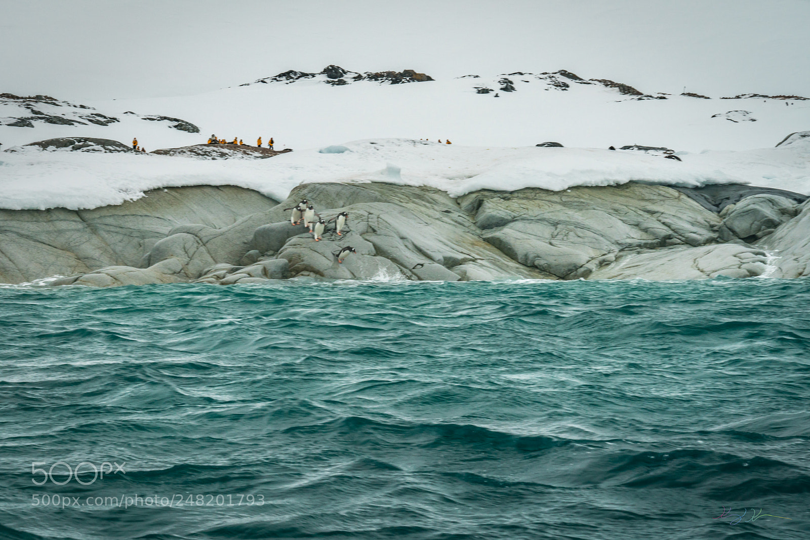 Sony a7R II sample photo. Antarctica expedition photography