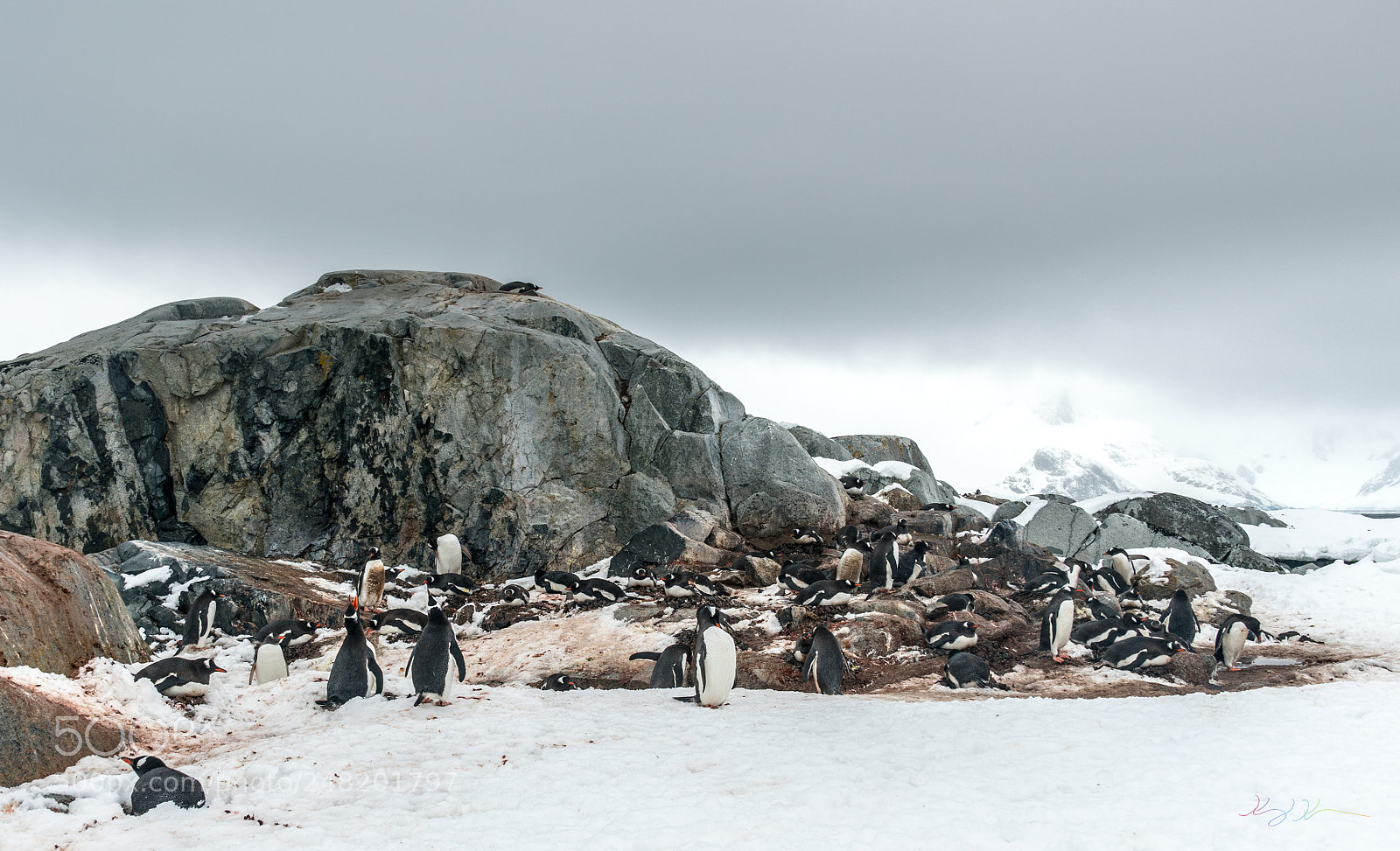 Sony a7R II sample photo. Antarctica expedition photography