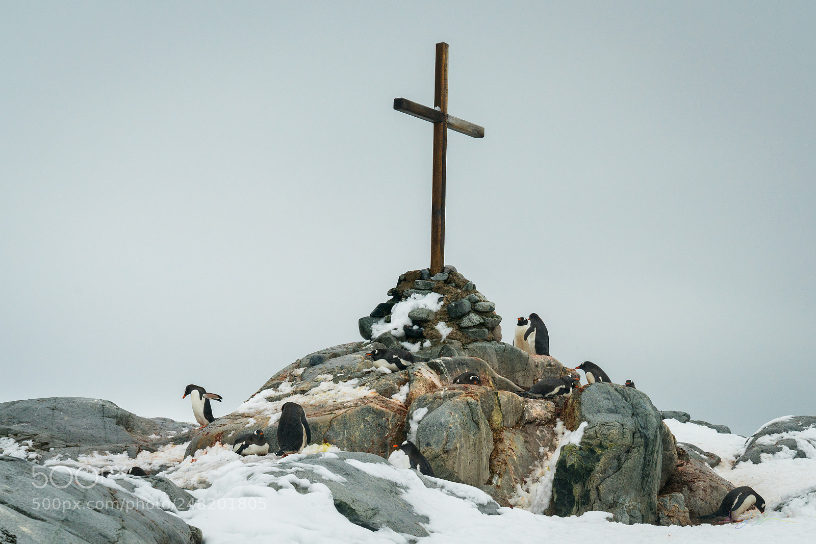 Sony a7R II sample photo. Antarctica expedition photography
