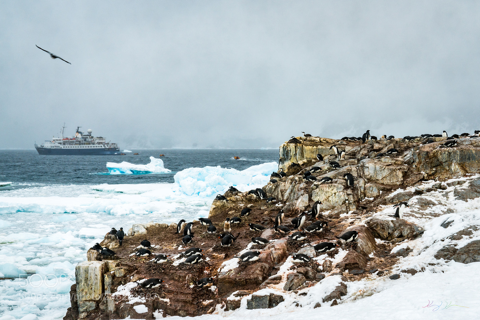 Sony a7R II sample photo. Antarctica expedition photography
