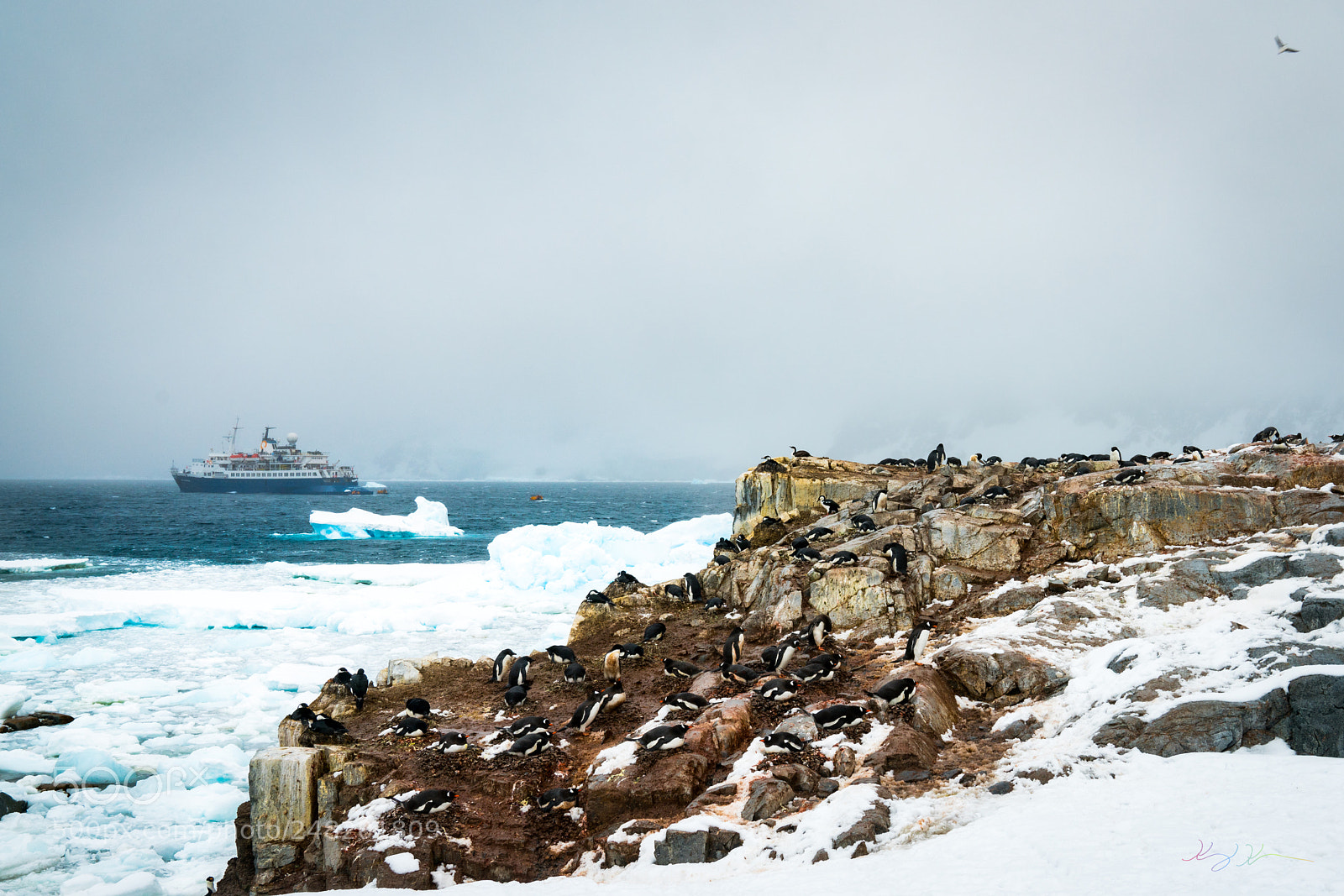 Sony a7R II sample photo. Antarctica expedition photography