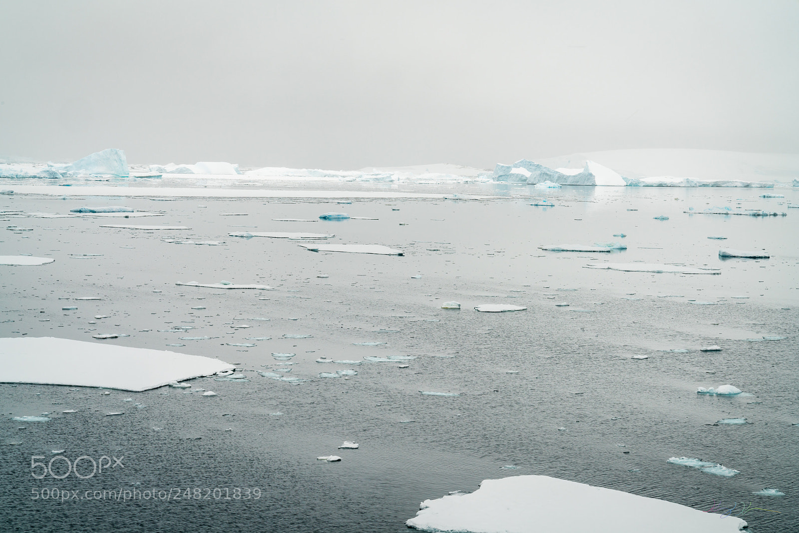 Sony a7R II sample photo. Antarctica expedition photography