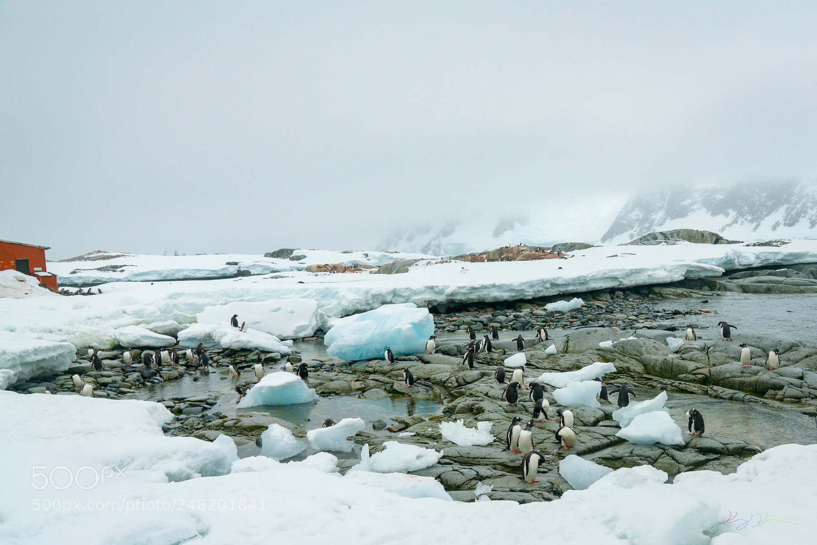 Sony a7R II sample photo. Antarctica expedition photography