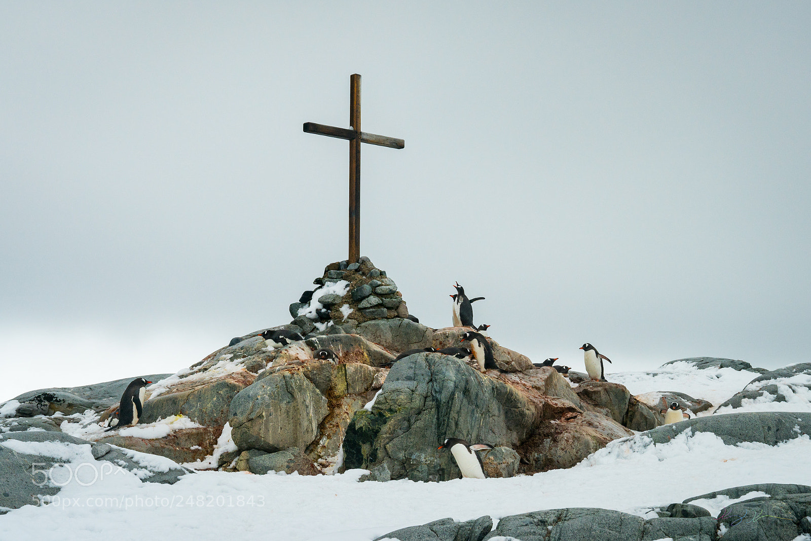 Sony a7R II sample photo. Antarctica expedition photography