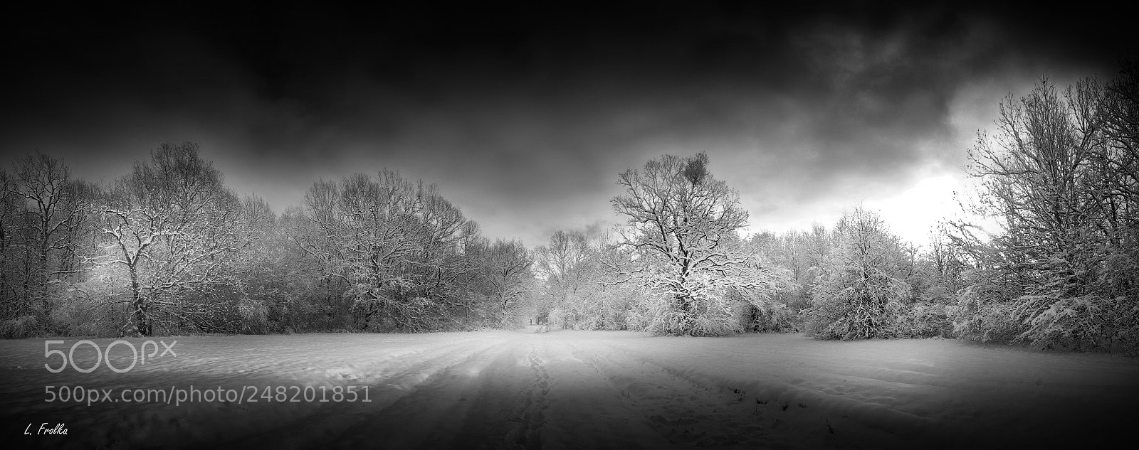 Pentax K20D sample photo. Fairy-tale winter photography