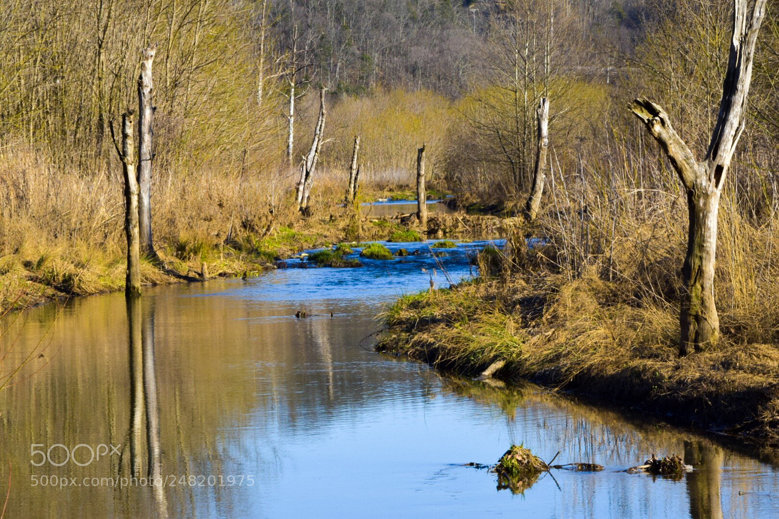 Nikon D5300 sample photo. Untitled photography
