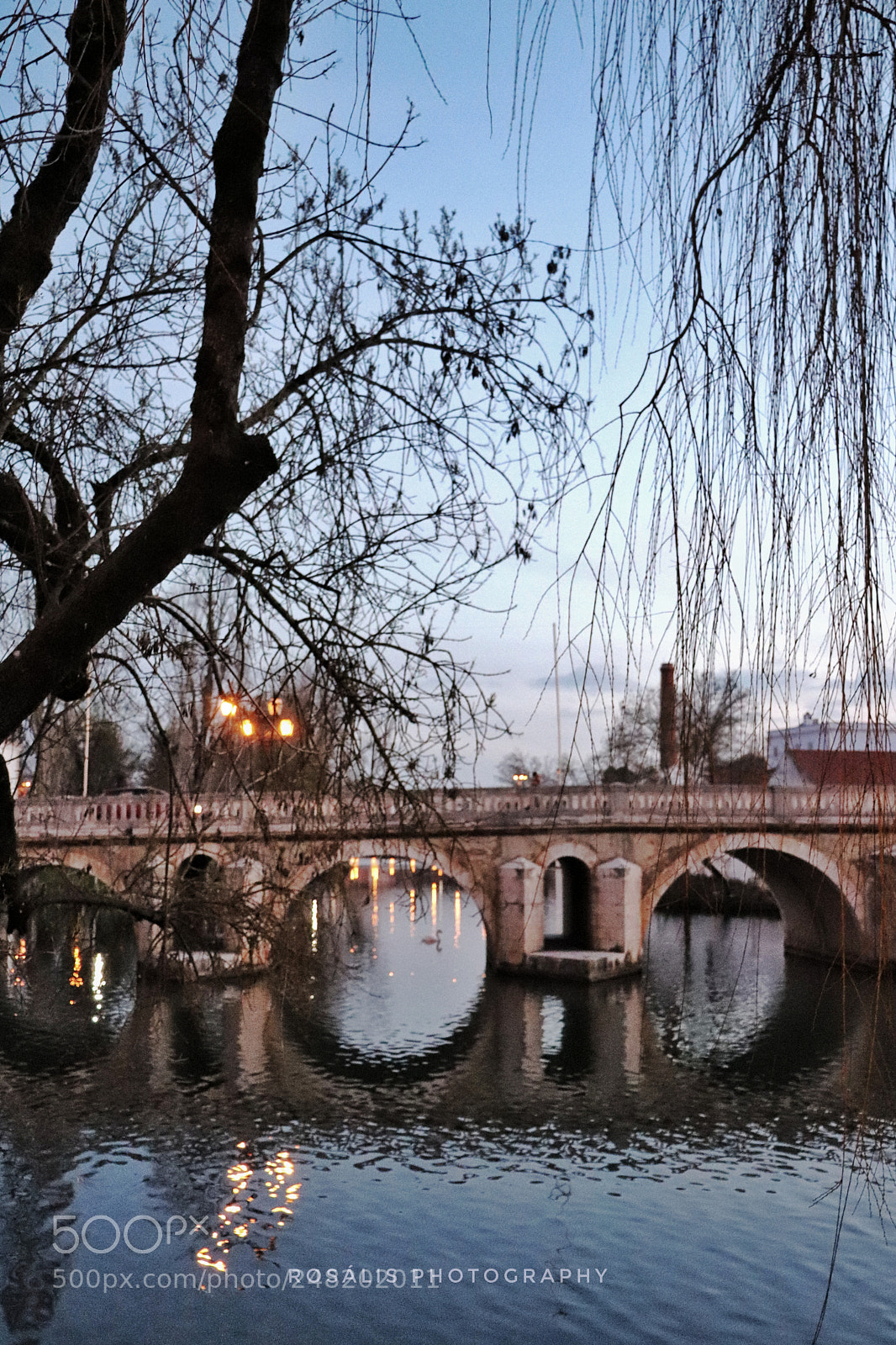 Canon EOS 800D (EOS Rebel T7i / EOS Kiss X9i) sample photo. Bridge photography