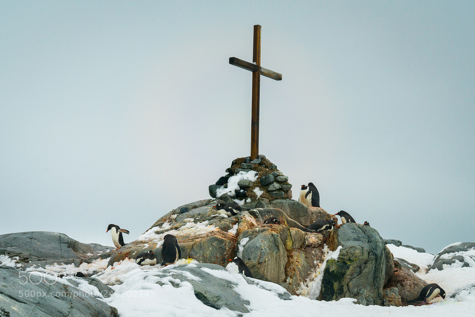 Sony a7R II sample photo. Antarctica expedition photography