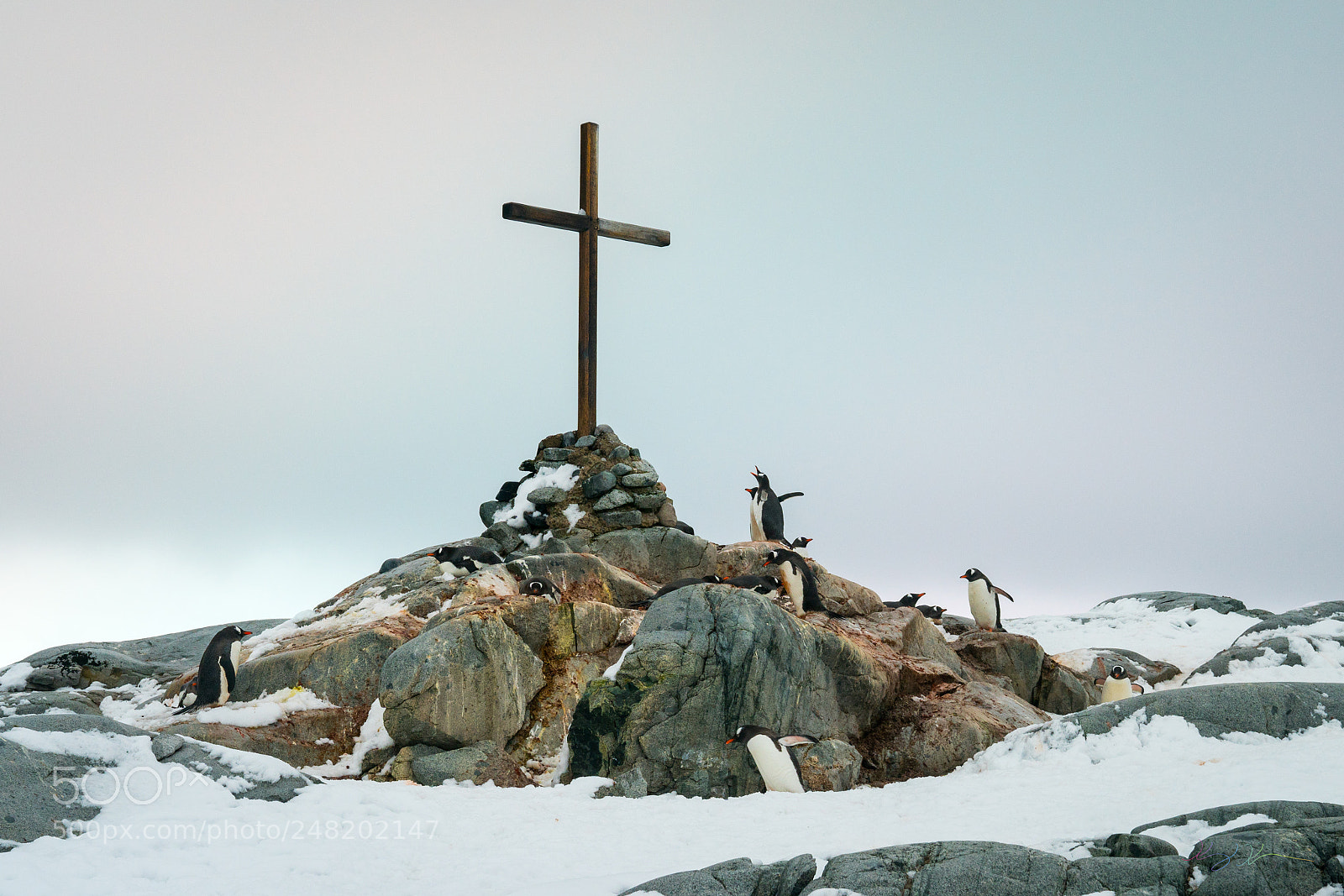 Sony a7R II sample photo. Antarctica expedition photography