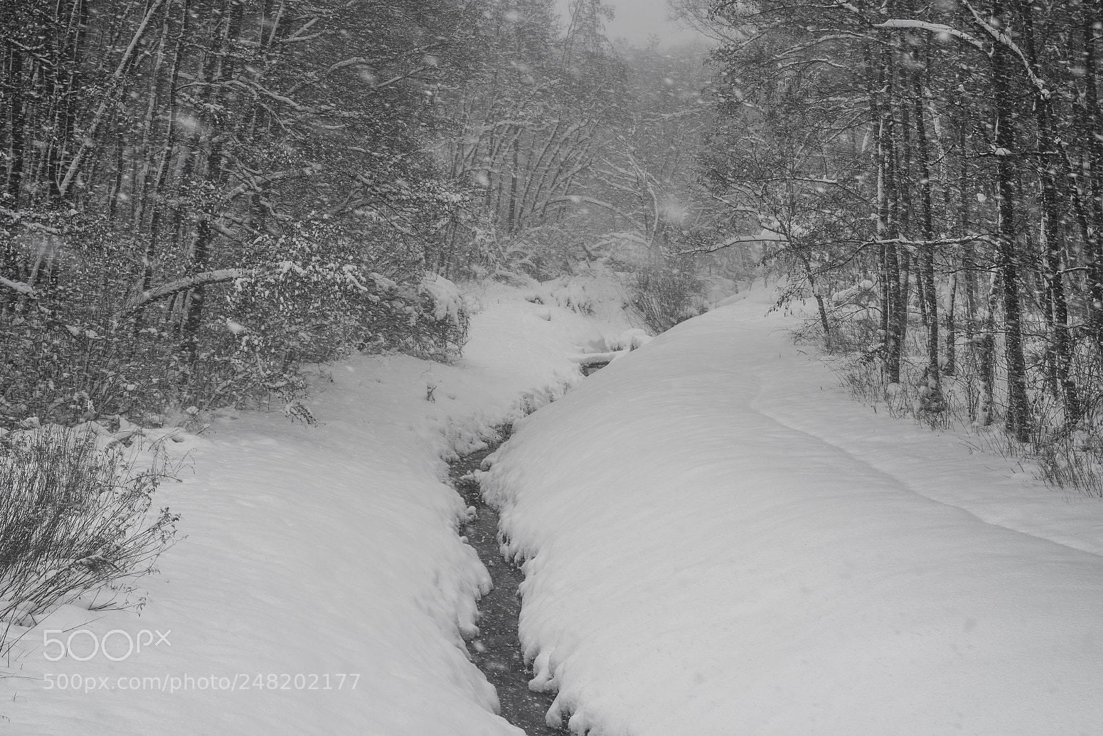 Nikon D7100 sample photo. Winter photography