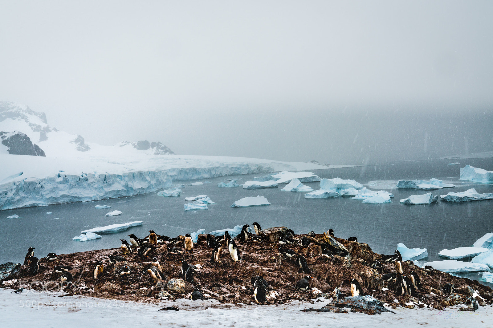 Sony a7R II sample photo. Antarctica expedition photography
