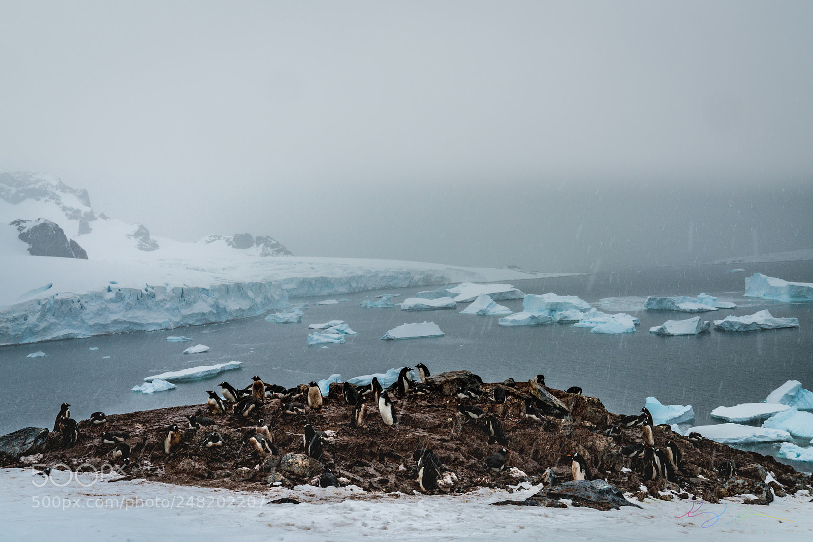 Sony a7R II sample photo. Antarctica expedition photography