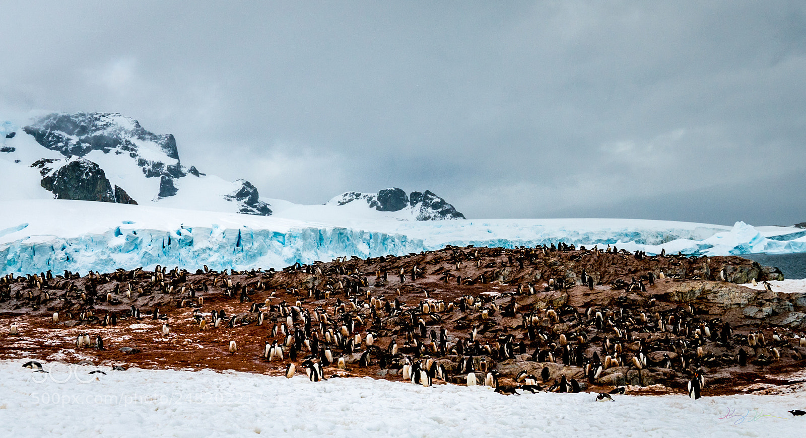 Sony a7R II sample photo. Antarctica expedition photography