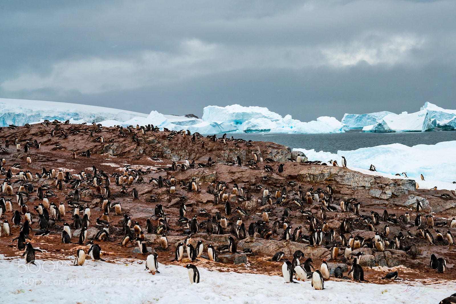 Sony a7R II sample photo. Antarctica expedition photography