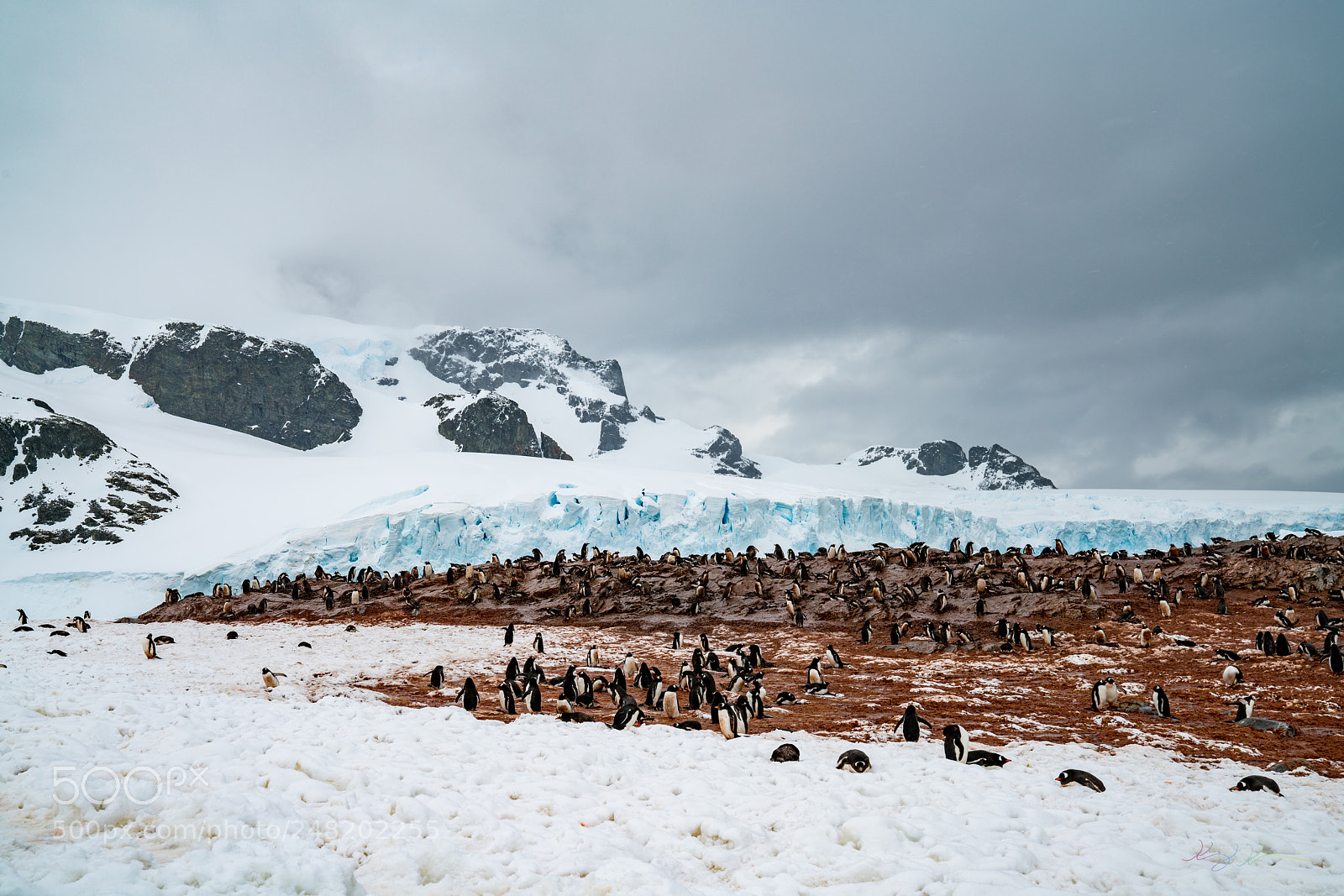 Sony a7R II sample photo. Antarctica expedition photography