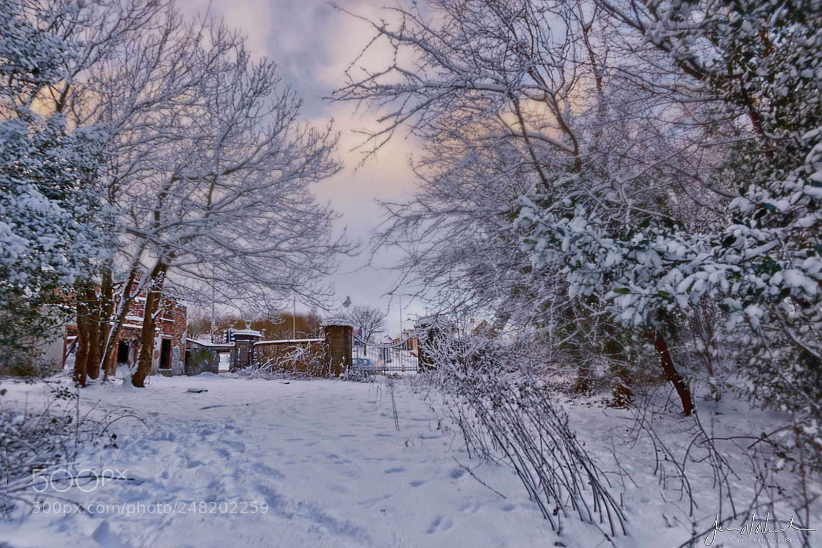 Nikon D800 sample photo. Inside the estate photography