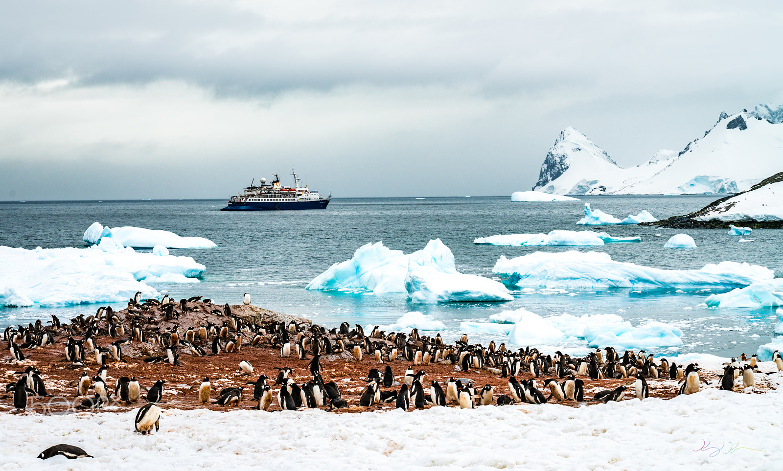 Sony a7R II sample photo. Antarctica expedition photography