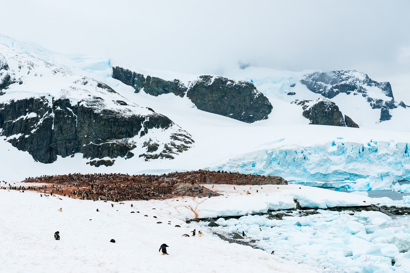 Sony a7R II sample photo. Antarctica expedition photography