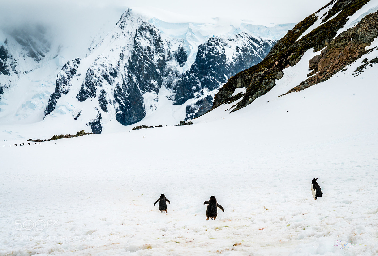 Sony a7R II sample photo. Antarctica expedition photography