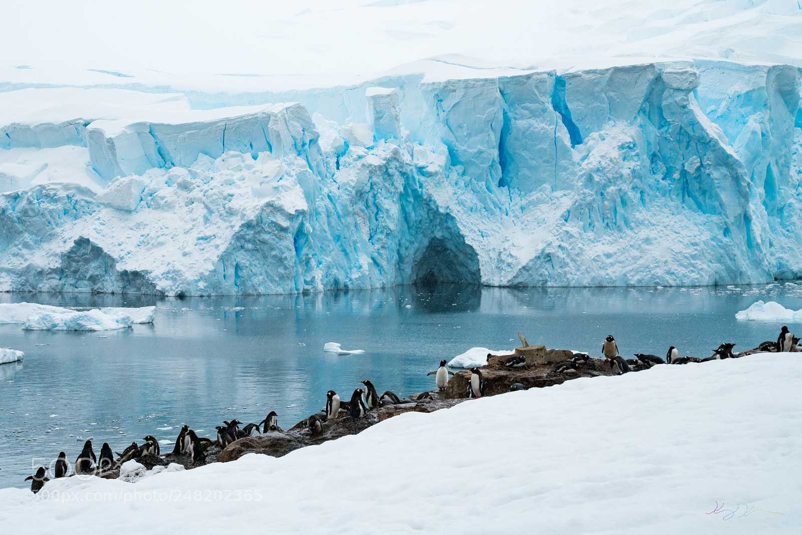 Sony a7R II sample photo. Antarctica expedition photography