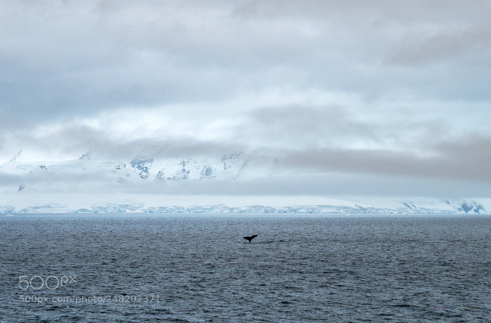Sony a7R II sample photo. Antarctica expedition photography