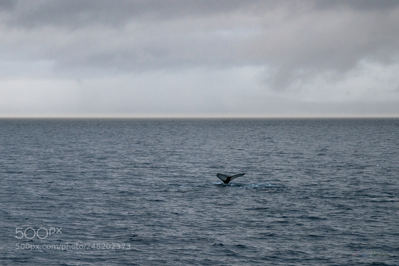 Sony a7R II sample photo. Antarctica expedition photography